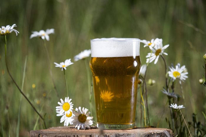 Bariloche tendrá en febrero su Fiesta de la Cerveza Artesanal