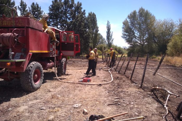 Tras cuatro horas de arduo trabajo, logran controlar e extinguir un incendio forestal, en Junín de los Andes