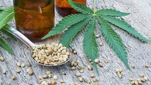 OMS propone retirar el cannabis de su listado de drogas peligrosas