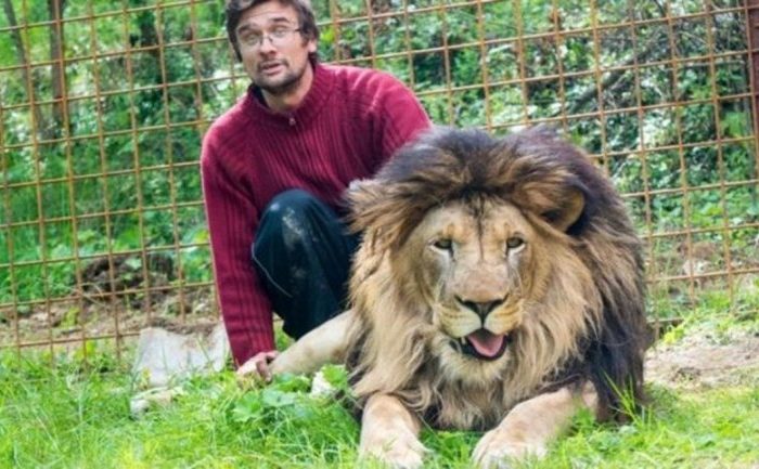 Murió tras ser atacado por un león al que criaba en su casa como mascota