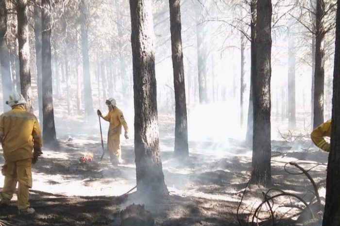 Controlan un incendio forestal intencional muy cerca del Cristo Luz