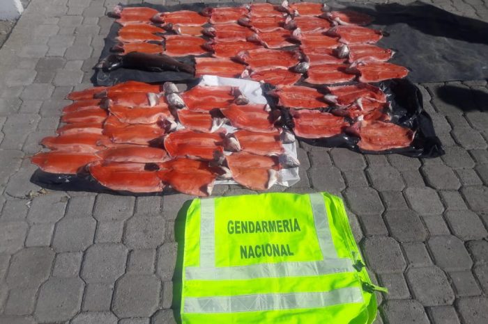 Secuestraron 45 truchas en un operativo de rutina en Ruta Nacional N°40