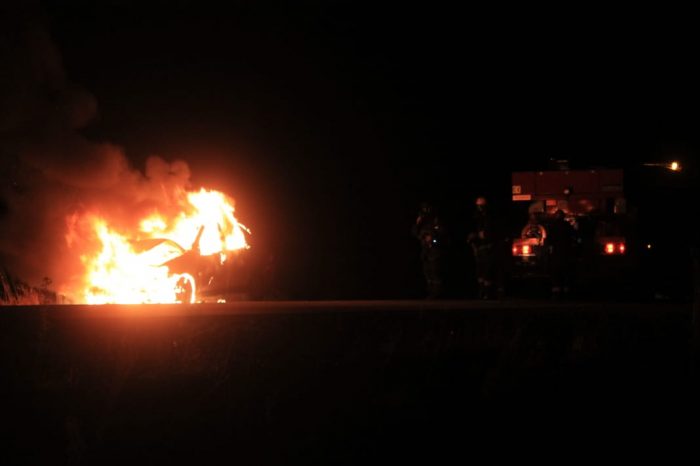 Tras embestir un ciervo, se incendio el rodado