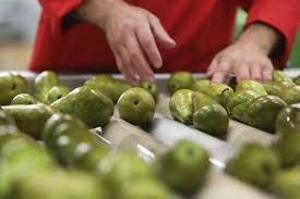 Brasil reanuda la importación de peras y manzanas de la Argentina