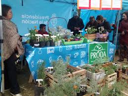 Nueva línea de trabajo del Programa de Desarrollo Agroalimentario