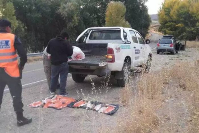 Detienen un auto que transportaba 15 truchas de forma clandestina