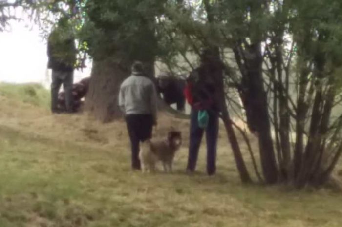 Hallan un cuerpo sin vida en un descampado de Bariloche