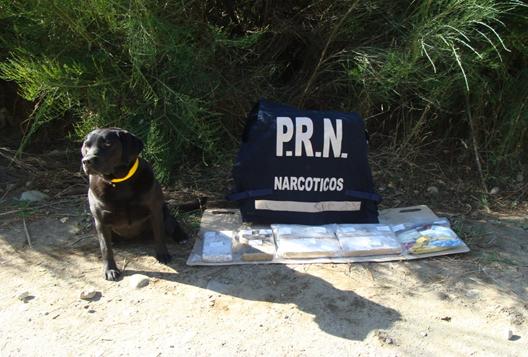 Operativo Piñata Verde: secuestraron otros 5 kilos de marihuana y ya son 23