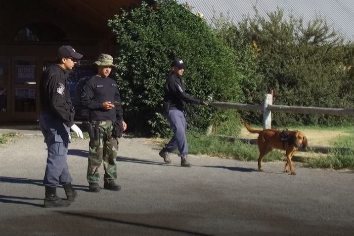 Con canes y buzos, por tierra y por agua, buscan al hombre desaparecido en Junín
