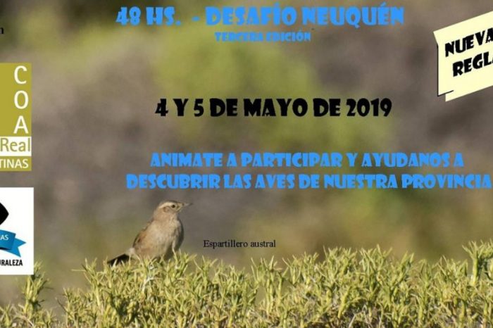 Invitan a participar de “48 horas de Observación de Aves–Desafío Neuquén”