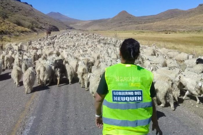 Comenzó el Operativo Trashumancia Zona Norte 2019