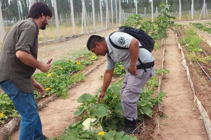 Firmarán convenio por las huertas terapéuticas de la cárcel de Senillosa