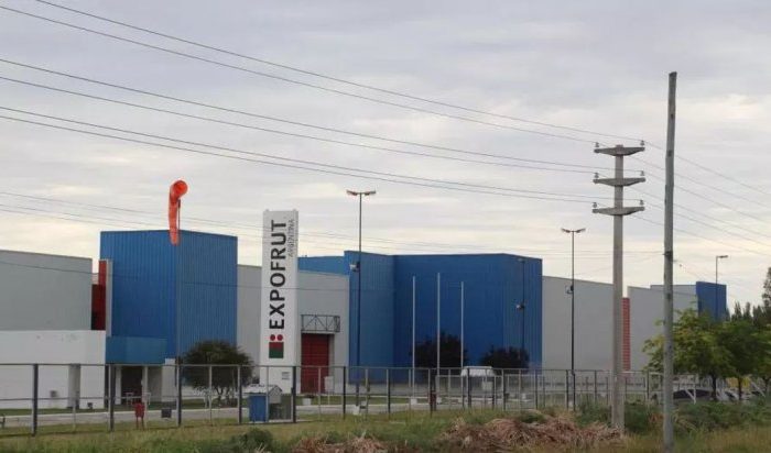 Expofrut deja de exportar y se concentra el negocio frutícola