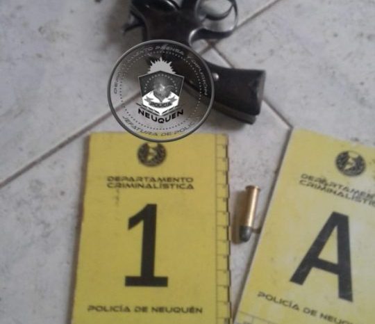 Allanamiento en el Oeste neuquino por personal de la Cria N°21