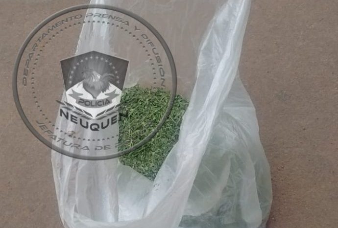 Dos demorados en Rincon de los Sauces con drogas en su poder