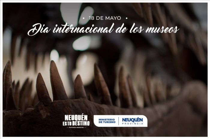 Actividades paleontológicas en el día de los Museos