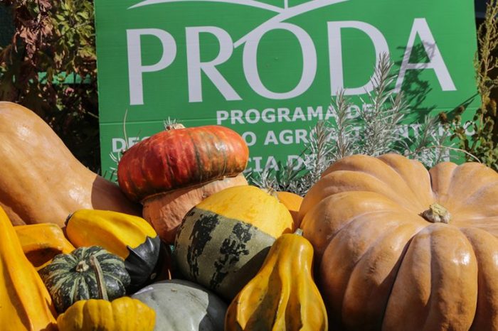 Nueva venta del Proda y cierre del concurso Ciudad Zapallo