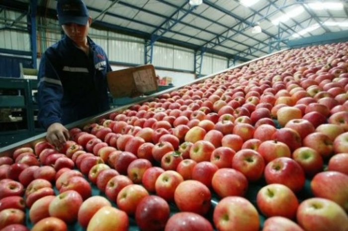 Economías regionales: para Coninagro, vinos y frutas están en la “peor situación”