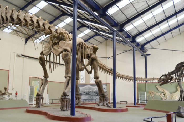 Mañana 18 de Mayo, se celebra el Día Internacional de los Museos
