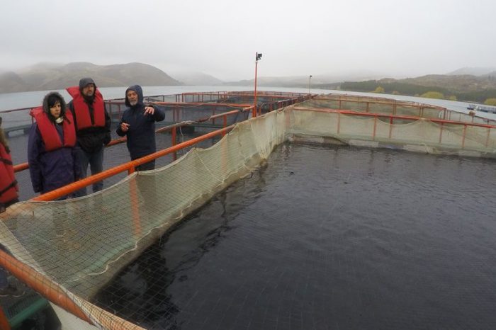 Relevan establecimientos acuícolas en embalse Alicurá