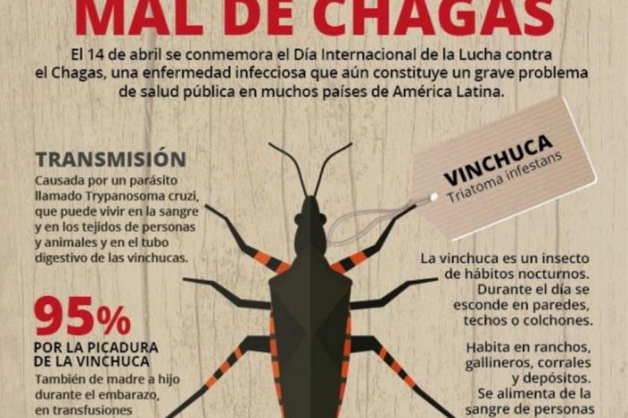 Neuquén participó del Encuentro Nacional de Chagas