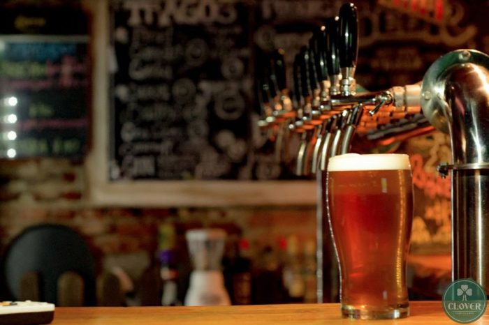 El sur neuquino tendrá su fiesta de la cerveza artesanal