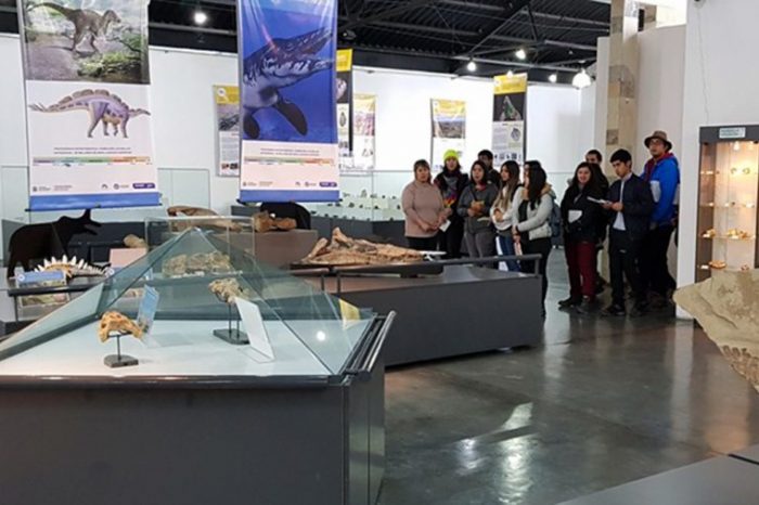 Exitosa reapertura del Museo Juan A. Olsacher de Zapala