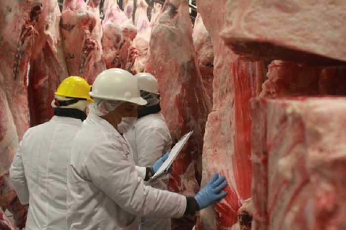 El 75% de la carne vacuna argentina se exportó a China