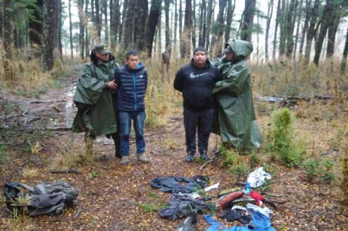 Delincuentes intentaban pasar de Chile a Argentina y fueron atrapados
