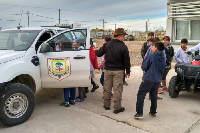 Realizaron una jornada de trabajo por el día del Medio Ambiente