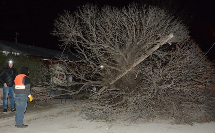 Fuertes ráfagas de viento volaron techos y árboles en Junín