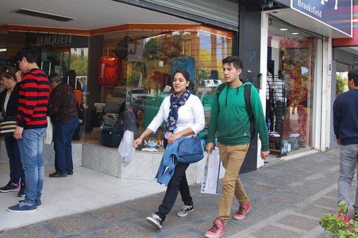 Comercios y negocios crecieron un 2,9 por ciento en 2018
