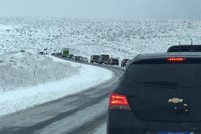 Así están las rutas de la zona cordillerana, Pino Hachado y Samoré cerrados