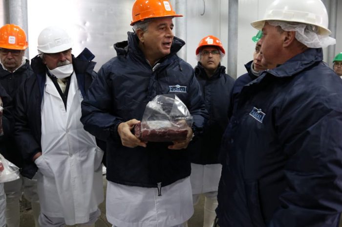 Certificaron 20 toneladas de carne de guanaco para exportar a Bélgica