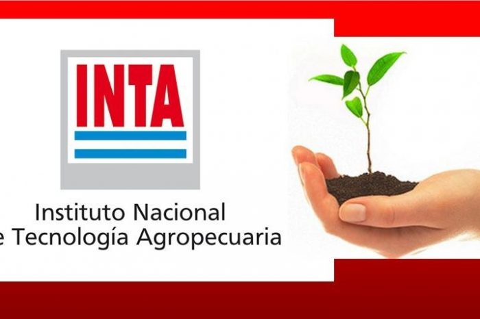 Búsqueda de candidato para beca doctoral INTA-CONICET 2019