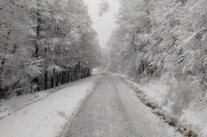 Cerraron los pasos Mamuil Malal, Hua Hum, Samoré, Pino Hachado y el aeropuerto de Bariloche