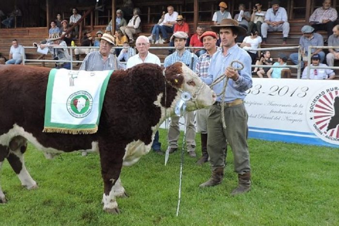 La Sociedad Rural de Neuquén presenta este viernes sus eventos ganaderos en Palermo