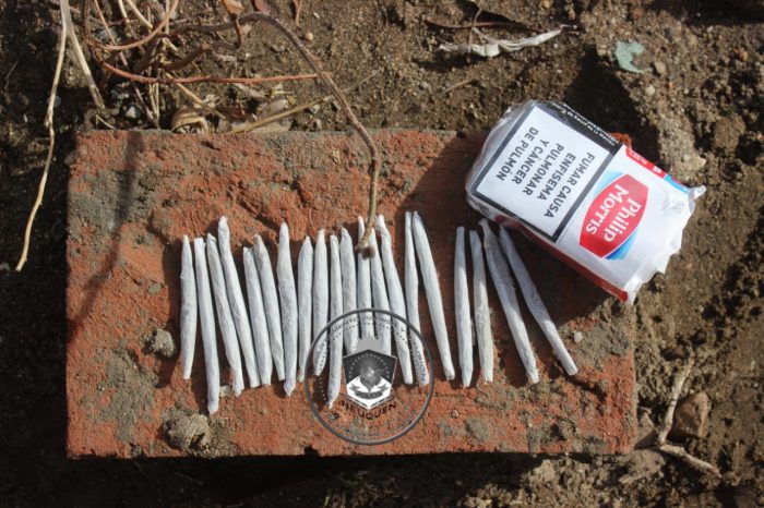 Secuestran drogas y prendas de vestir en allanamientos en Zapala