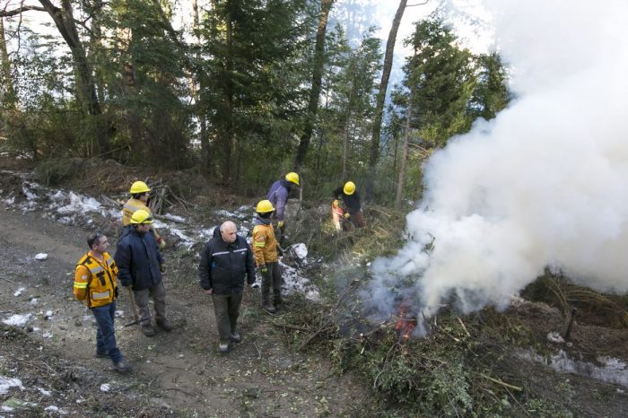 Intenso operativo de limpieza de ramas y árboles caídos en Villa La Angostura