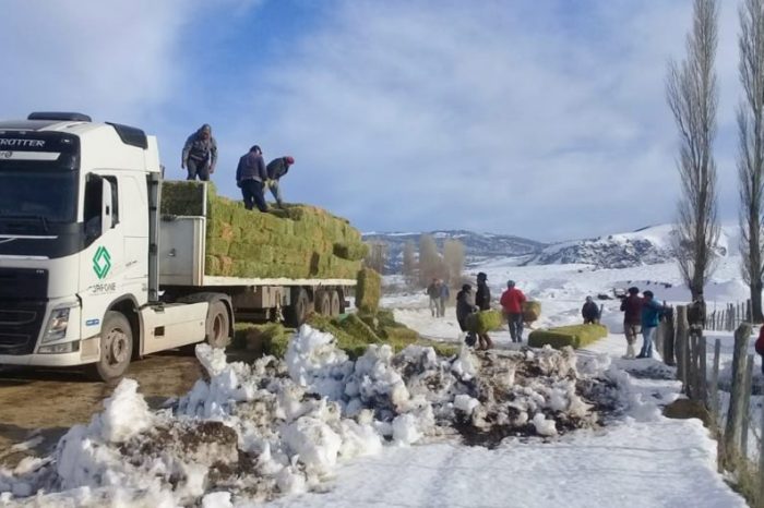 Distribuyen fardos en comunidades afectadas por el temporal