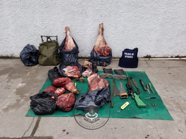 San Martín de los Andes, allanamiento por abigeato