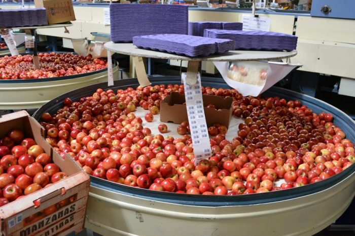 Productores y elaboradores locales proveen alimentos a Vaca Muerta