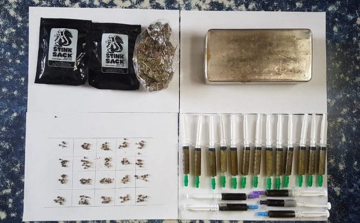 Lo demoraron con aceite de Cannabis en jeringas, semillas y magullones, en un control de rutina de Gendarmería Nacional