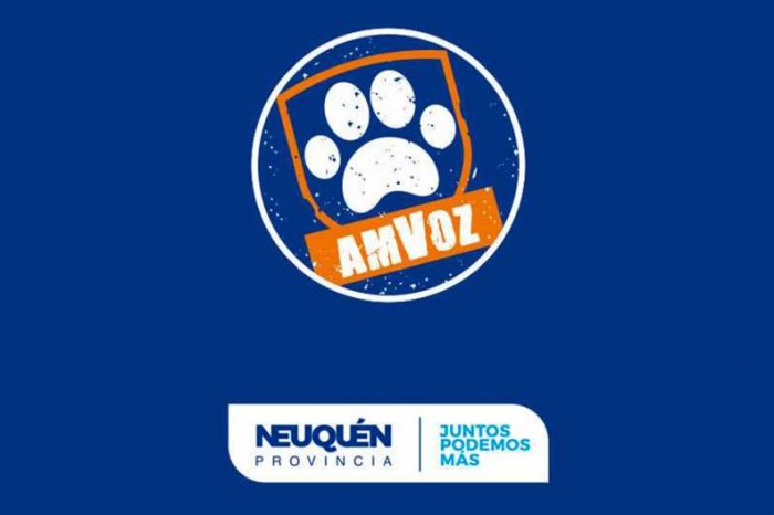 La aplicación neuquina AmVoz fue premiada a nivel nacional