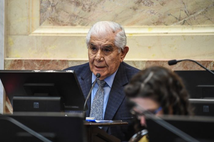 Guillermo Pereyra: “Una emergencia que dura 17 años, ya no es una emergencia, sino una consecuencia”