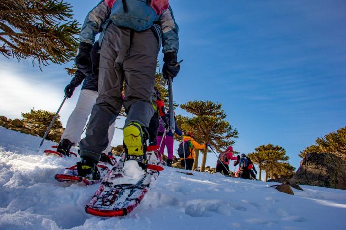 Neuquén te invita a recorrer el paisaje desde adentro