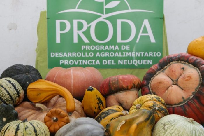 El Proda abrió la convocatoria al concurso de agricultura urbana en Neuquén