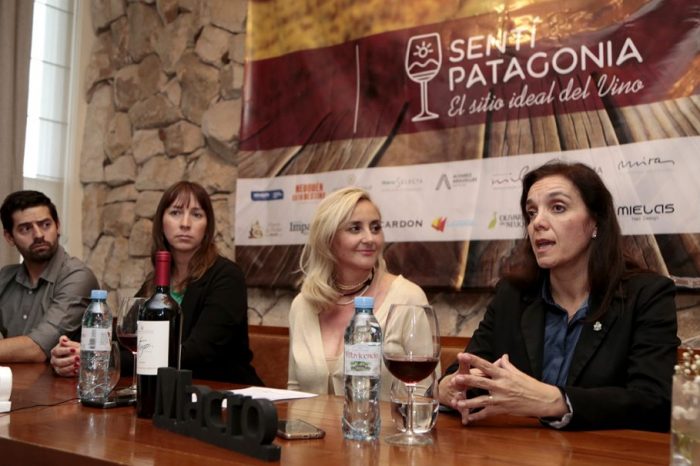 Nueva propuesta para conocer y disfrutar los viñedos de la Patagonia