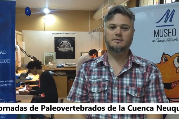 Segundas Jornadas de Paleovertebrados de la Cuenca Neuquina