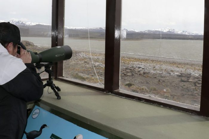 Lanzaron la temporada de Observación de Aves en Laguna Blanca